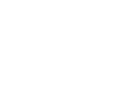 Burt Tax